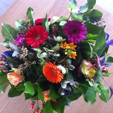 Frühstückspension Leendershoeve In Heusden