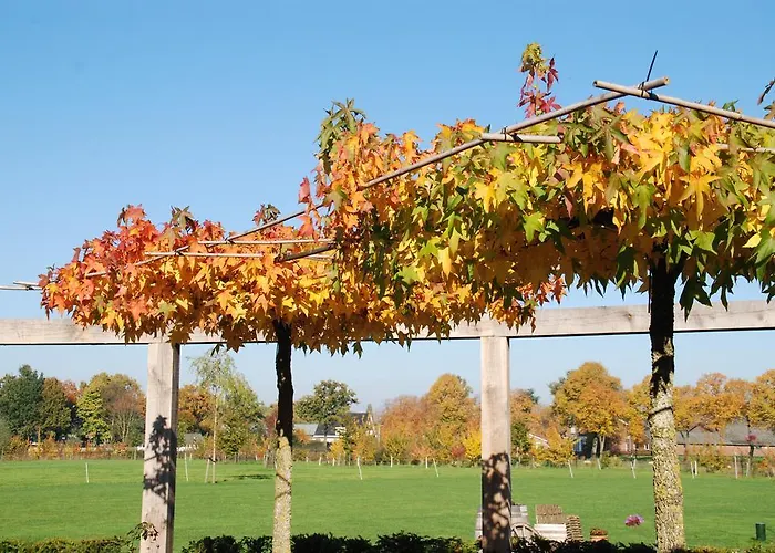 Leendershoeve In Heusden Bed & Breakfast Asten