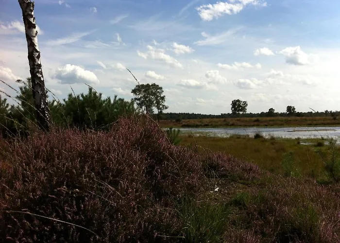 Leendershoeve In Heusden Bed & Breakfast Asten