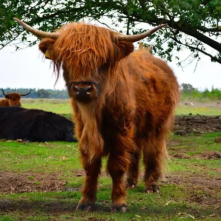 Leendershoeve In Heusden Bed & Breakfast