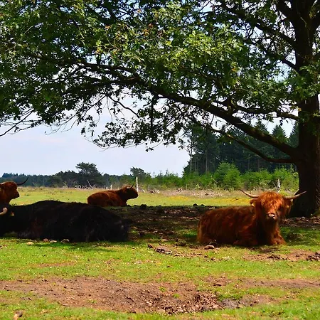 Panzió Leendershoeve In Heusden Asten