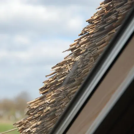 Leendershoeve In Heusden Bed & Breakfast Asten