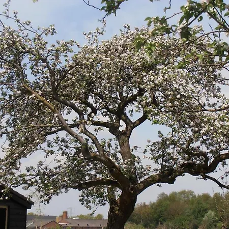 Panzió Leendershoeve In Heusden