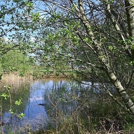 Bed & Breakfast Leendershoeve In Heusden