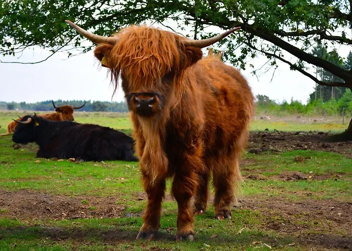 Leendershoeve In Heusden Nocleg ze śniadaniem