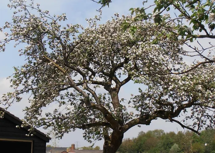 Nocleg ze śniadaniem Leendershoeve In Heusden